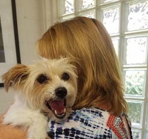 Manuka Veterinary Hospital Pet care service in Griffith