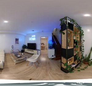 TREE STUDIO Photographer in South Melbourne