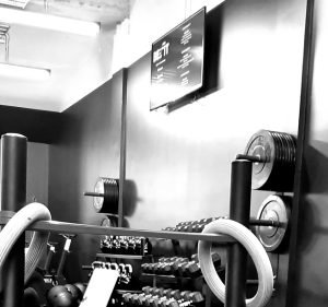 REVL Training Prahran Gym & Fitness in Prahran