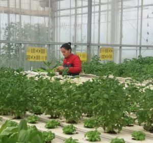 Australian College of Agriculture & Horticulture Education in Melbourne