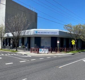Veterinary Clinics in Melbourne Australia Melbourne Pet Surgery