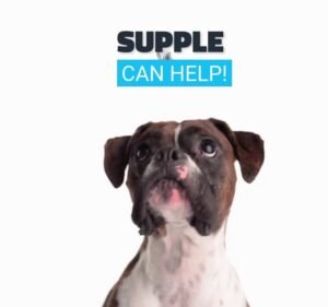 Supple Melbourne - SEO & Digital Marketing Agency Marketing agency in Richmond