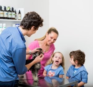 Veterinary Clinics in Victoria Australia Vets On Parker