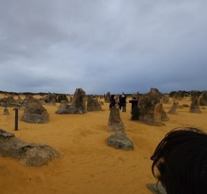 Australian Pinnacle Tours in Perth