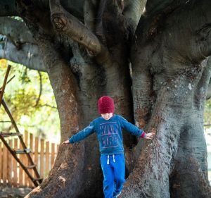 Childcare Services in Melbourne Australia Childrens Garden Kindercare