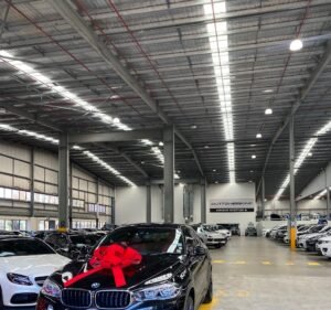 Car Dealerships in Melbourne Australia Dutton One Melbourne