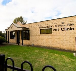  Torrens Road Croydon Park Veterinary Clinic