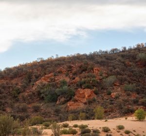 AusCon NT Building & Construction in Braitling