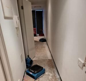 Flood Response Water damage restoration service in Abbotsford