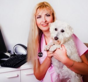  Kent Street Veterinary Clinic