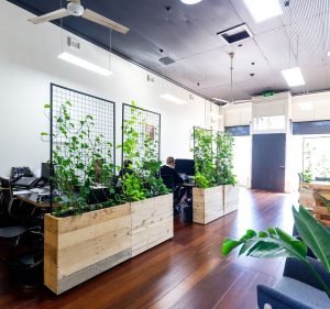 OKMG Marketing agency in Mosman Park