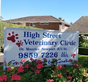 Veterinary Clinics in Melbourne Australia High Street Veterinary Clinic - East Kew