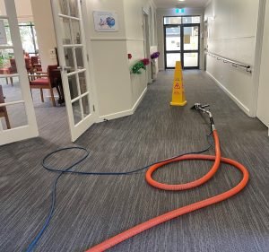 Carpet Cleaning Services in Victoria Australia Clean Well Melbourne
