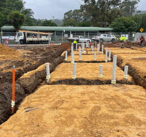 Vale Pest Group Pest control service in Pascoe Vale