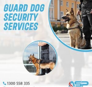 Security Guards Services Perth Safety Services & Supplies in Langford