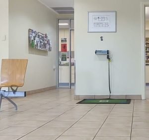 Marion Animal Hospital Pet care service in Mitchell Park