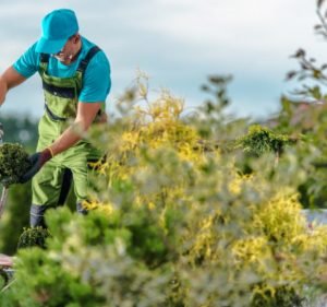 Melbourne Landscape Gardening Landscaping in South Yarra