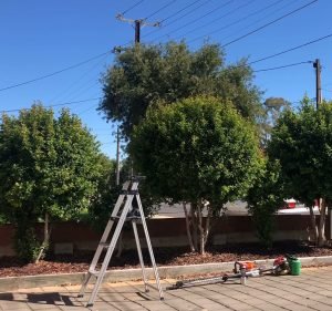 Garden-R Garden Maintenance & Landscaping in Black Forest