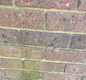 Wyndham Pest Control Pest control service in Tarneit