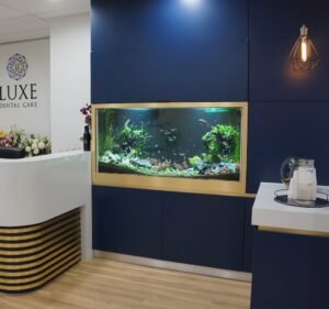 Dental Clinics in Melbourne Australia Luxe Dental Care