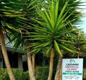 Medical Clinics in Victoria Australia Cedars Medical Clinic