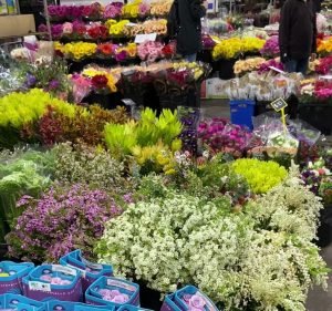 Sydney Flower Market in Homebush West