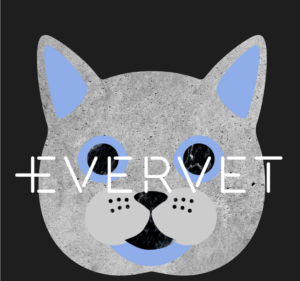 Pet Care Services in Melbourne Australia Evervet Prahran - Prahran Veterinary Hospital