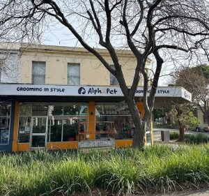 Pet Care Services in Melbourne Australia Alphapet Port Melbourne