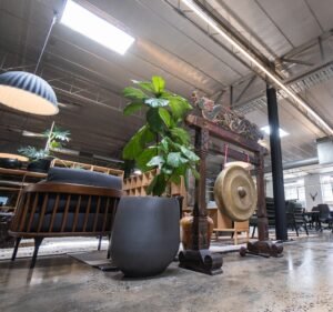 Advertising and Marketing in Victoria Australia King Kong