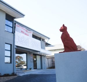 Veterinary Clinics in Melbourne Australia Canterbury Veterinary Clinic & Hospital - Dr Lynda Bonning