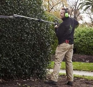 Van Leeuwen Green Horticultural Services Landscaping in Elwood