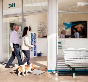 Veterinary Clinics in Melbourne Australia Vets on Balwyn
