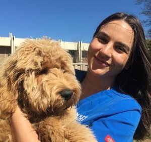 Inner South Veterinary Centre Pet care service in Narrabundah