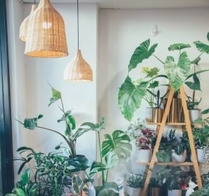 The Green Elephant flowers and crafts bar Florist in Mascot