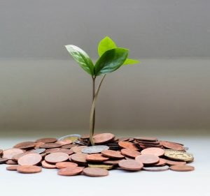 Financial Planning Services in South Yarra Australia Wealth Smart Australia