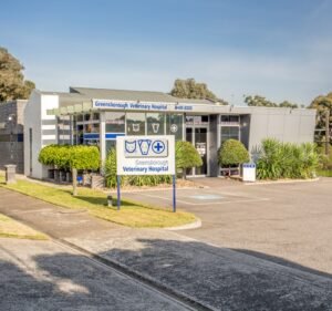 Veterinary Clinics in Melbourne Australia Greensborough Veterinary Hospital