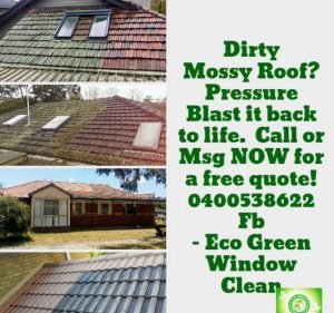 Eco Green Window, Gutter & Pressure Clean in Wantirna South