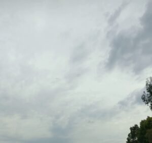 Melbourne Polytechnic Yan Yean Farm Agriculture in Yan Yean