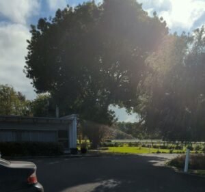 Terang Motor Inn Hotel in Terang