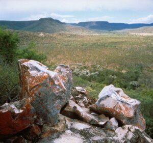 Non-profit Organizations in Victoria Australia Bush Heritage Australia