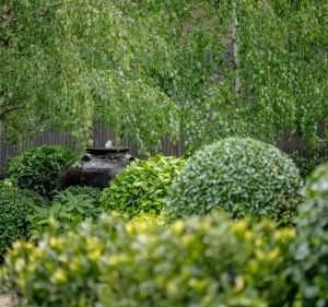 Eugene Gilligan Garden Design Landscaping in Carlton North