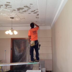 Plaster Repair in Newcastle Real Estate in Sydney