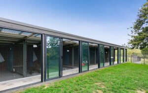 A Dogs Domain and Cats too Pet care service in Melbourne