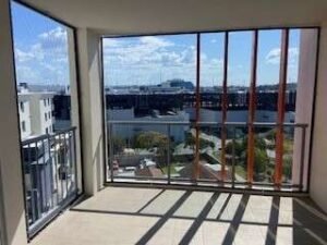 CAT MAX Pet care service in Bowen Hills