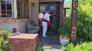 A1 Pest Control Canberra Pest control service in Phillip