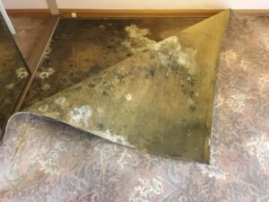 Jena’s Cleaning Pty Ltd Cleaning service in Melbourne