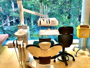 No Gap Dentists Dentist in Melbourne