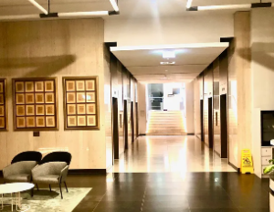 No Gap Dentists Dentist in Melbourne